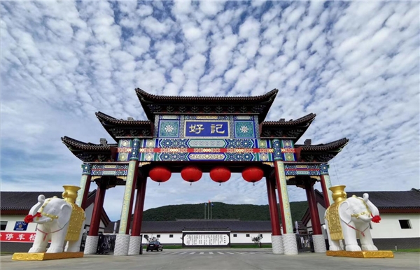 好记酱油为什么能赢得消费者青睐？看过这篇你就懂了