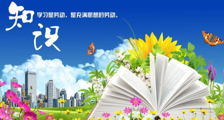 广西南宁:全面实施资本强市战略打造核心增长极